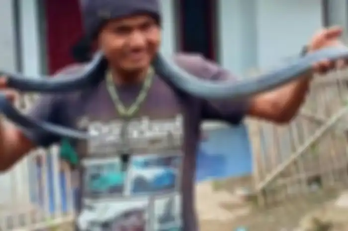 Jana, pria Bandung yang tewas dililit ular sanca peliharaannya