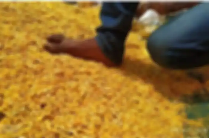 Proses pembuatan snack curah