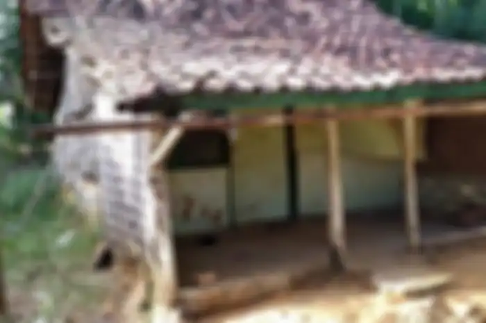 Tinggal di Gubuk Reyot Sebatang Kara, Nenek Ini Teriak-Teriak Saat Lapar dan Sakit, Ini Kisah Pilunya