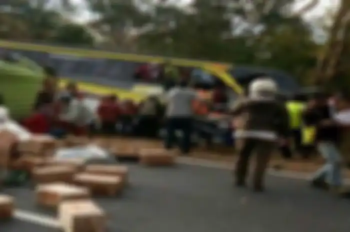 Bus Pariwisata yang terlibat kecelakaan beruntun di Situbondo, Jawa Timur