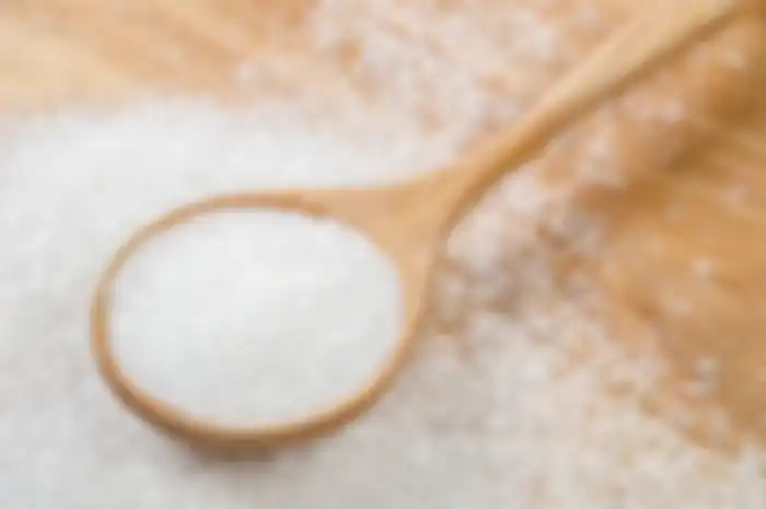 Monosodium glutamat (MSG) alias Micin