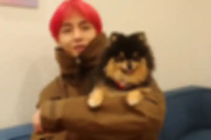 V 'BTS' dan Yeontan