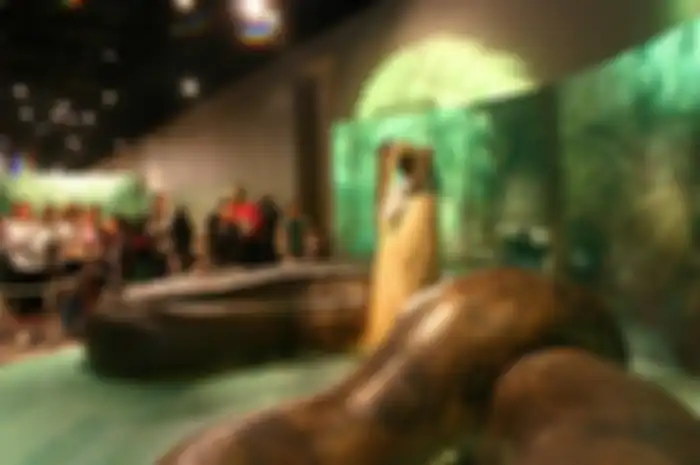 Raplika Titanoboa