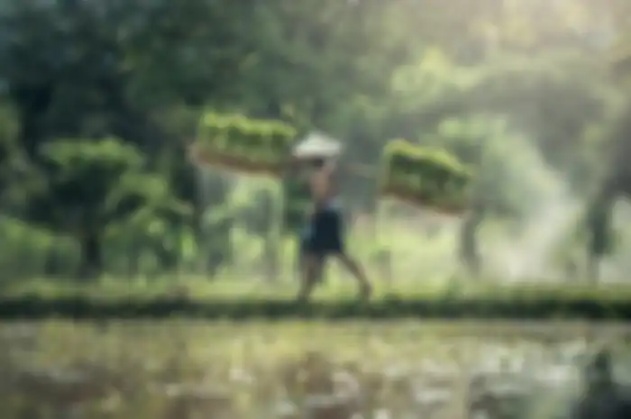 Ilustrasi petani.