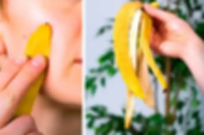Manfaat Kulit Pisang
