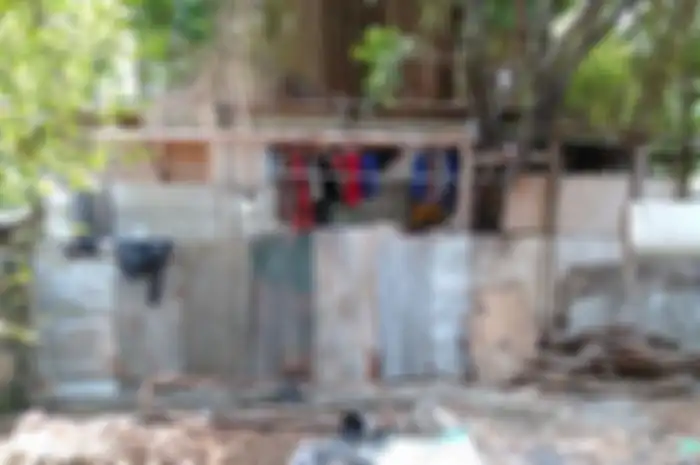 Tempat yang diduga lokasi penampungan anjing ilegal di kawasan Setia Budi, Jakarta Selatan. Foto diambil Jumat 26 Juli 2019
