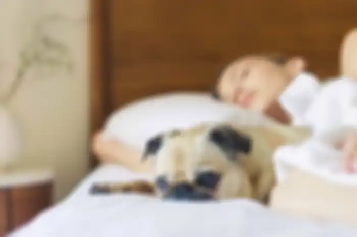 Tidur dengan hewan peliharaan