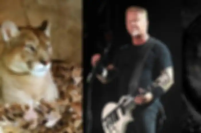 Ilustrasi Puma dan James Hetfield