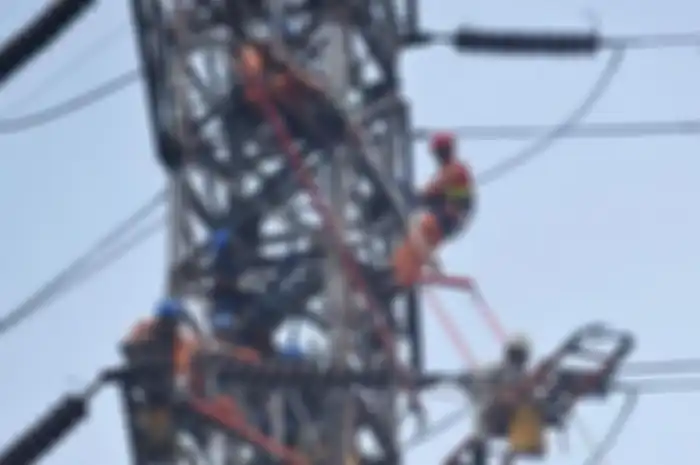 Ilustrasi petugas PLN