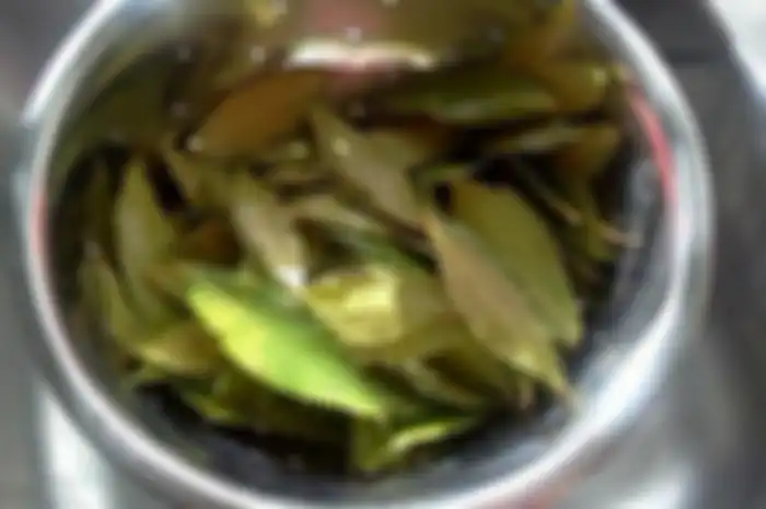 Manfaat daun salam rebus