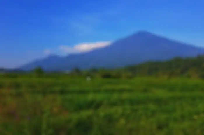 Gunung Ciremai mengalami kebakaran di Blok Goa Walet pada Rabu (7/8/2019)