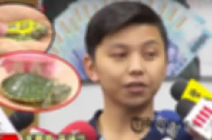 Dapat Pekerjaan Bersihkan Kura-kura, ART ini Digaji Fantastis Hingga Rp36 Juta!