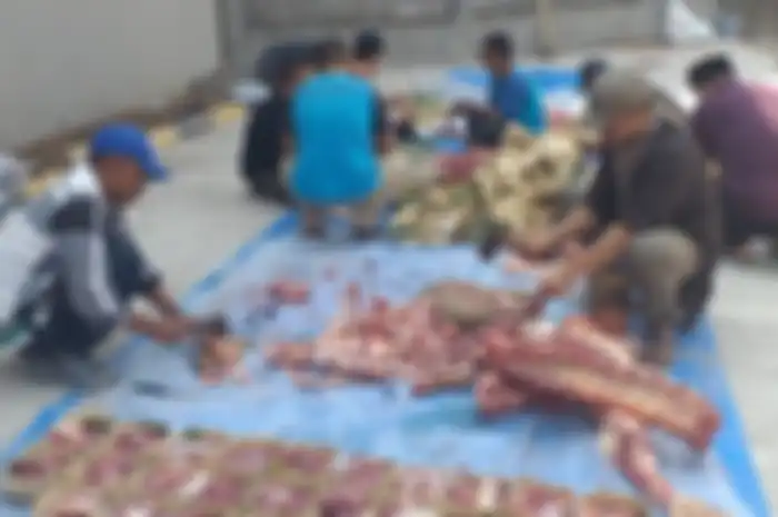 Ilustrasi memotong daging hewan kurban Idul Adha