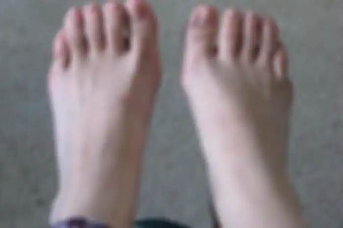 Jari kaki