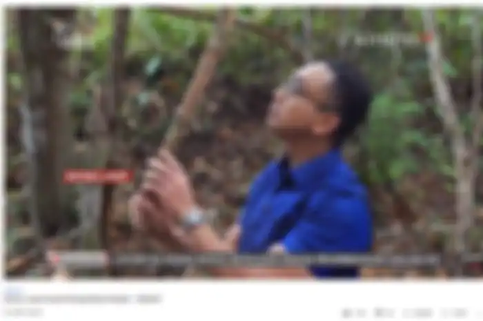 Pohon bajakah