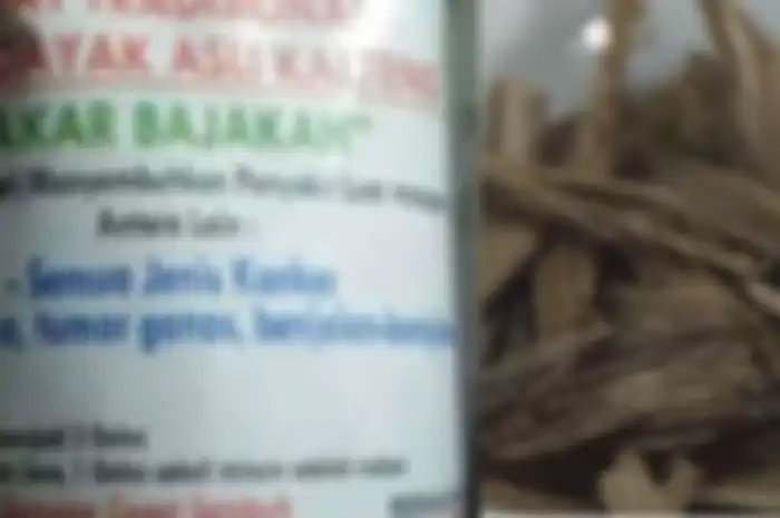 Berlum teruji Klinis Akar Bajakah Tunggal Belum Tepat Disebut Obat Kanker Payudara.