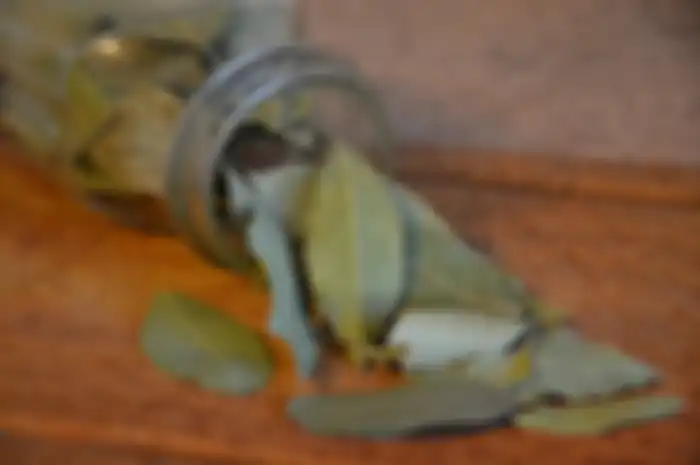 Manfaat membakar daun salam