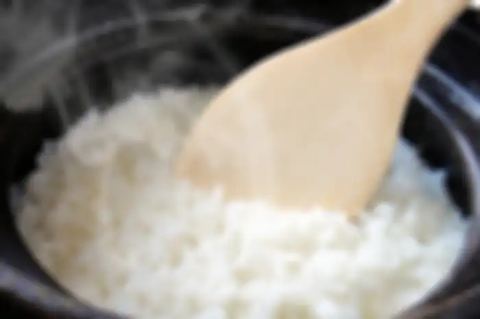 Nasi rice cooker