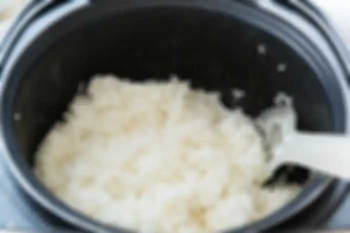 Ilustrasi nasi di  rice cooker
