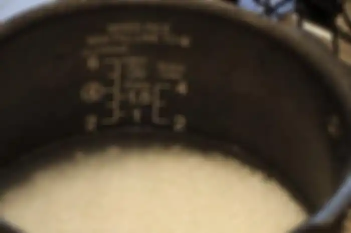 wadah rice cooker