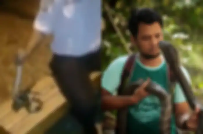 Tanggapan Panji Petualang terhadap satpam yang tewas karena digigit ular