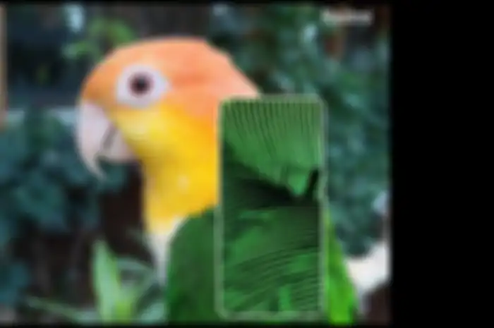 Hasil zoom foto yang dibagikan Redmi