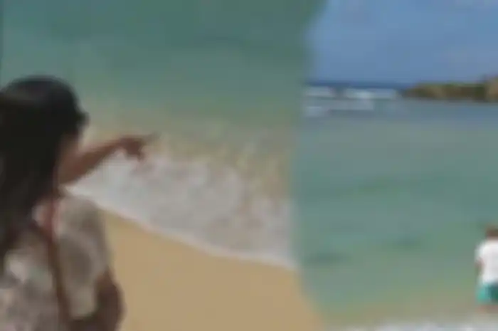 Viral Video Gerombolan Hiu Menepi di Pantai Bali, Apakah Berbahaya? ini Kata Ahli