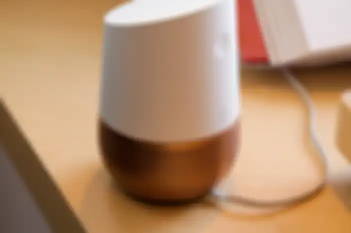 Smart Speaker produk Google, Google Home