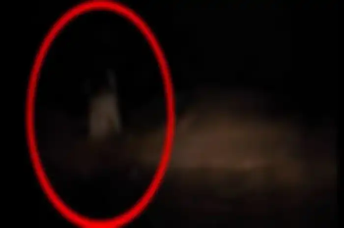 Ilustrasi sosok misterius.