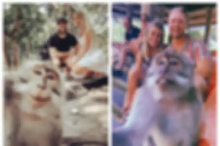 Monyet selfie bersama para wisatawan di Ubud, Bali