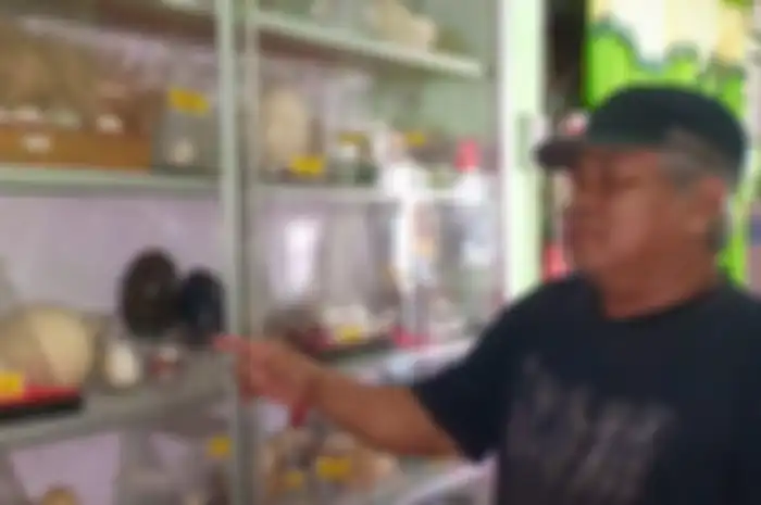 Rosid menunjukkan koleksi puluhan telur berbagai jenis hewan di rumah penyimpanan yang dinamainya rumah telur di Kelurahan Saditan, Brebes, Minggu (15/9/2019). 