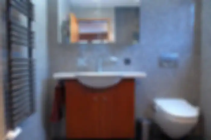Bau dan Binatang Kecil Masuk ke Toilet? Bisa Jadi 2 Benda Ini Kondisinya Tak Baik, Atasi Segera!