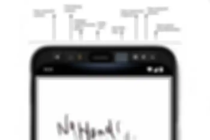 Teknologi Soli pada Pixel 4
