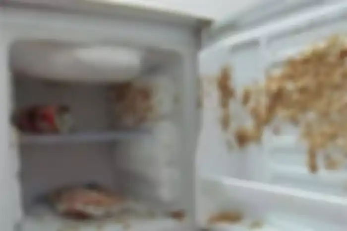 Perhatikan, Jangan Pernah Simpan 3 Jenis Minuman ini ke Dalam Freezer karena Bisa Meledak!