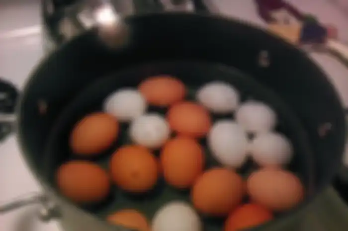 Telur rebus