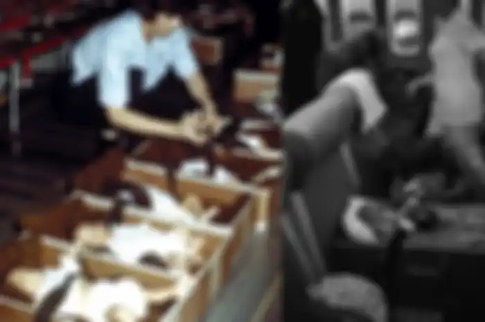 Ketika Ribuan Anak Korban Perang di Vietnam 'Dibawa' Oleh AS Untuk Menghindari 'Hukuman Mati' di Panti Asuhan