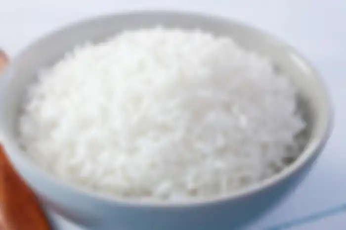 Ilustrasi Nasi