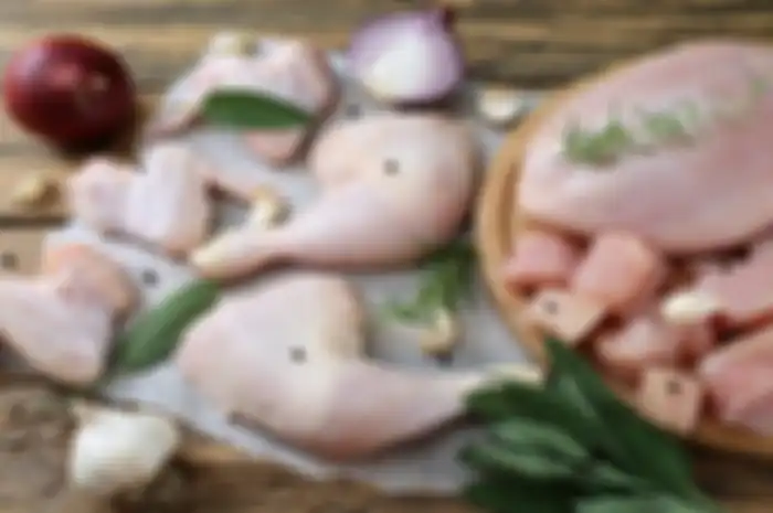 Ilustrasi Daging ayam
