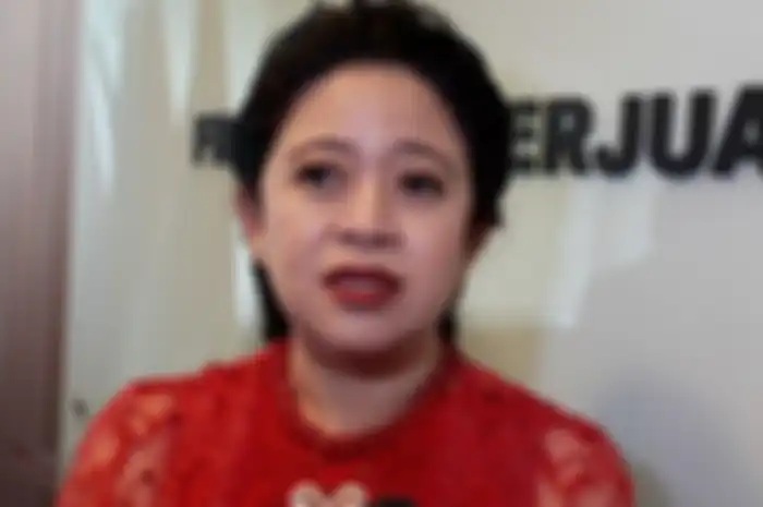 Puan Maharani (Foto: Taufik Ismail/Tribun)