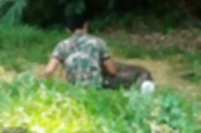 Chabakeaw untuk sementara akan kembali diasuh lagi sambil petugas mencari solusi untuk masa depannya