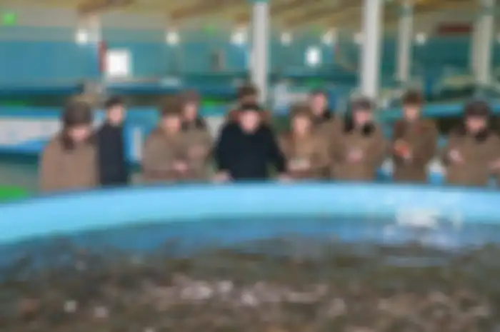 Kim jongun