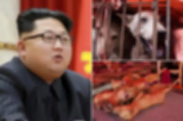 Kim Jong-Un perintahkan rakyatnya untuk rutin makan daging anjing.
