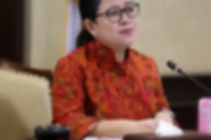 Ketua DPR, Puan Maharani.