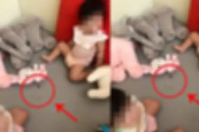 Miris! Sang Ibu Sibuk Bersih-Bersih Rumah Hingga Tak Menyadri Kedua Balitanya Makan Kecoa Hidup-Hidup