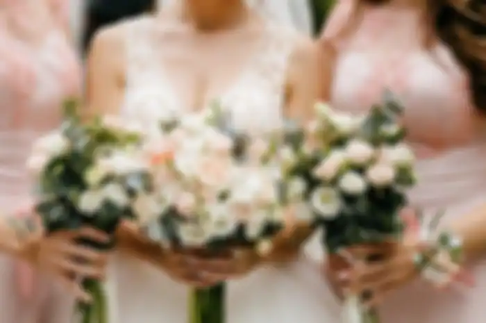 (ilustrasi Bridesmaid)