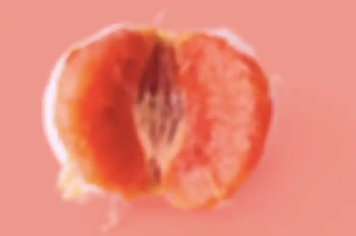 Ilustrasi vagina