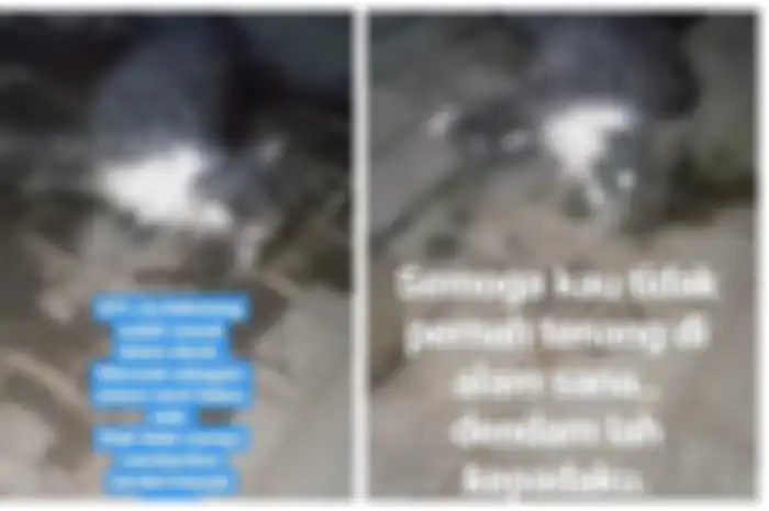 Foto dan video kucing anggora yang mati kejang-kejang setelah dicekoki ciu bekonang.