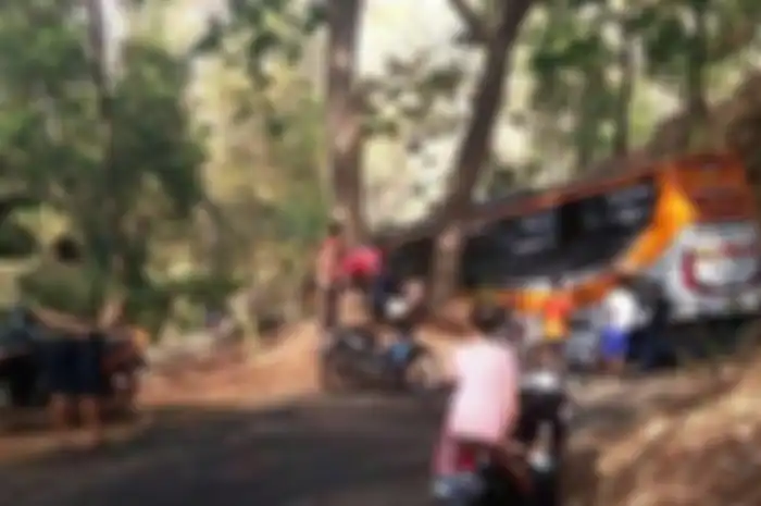  Bus PO Sudiro Tunggal Jaya terjebak di jalanan sangat sempit di tengah hutan Wonogiri