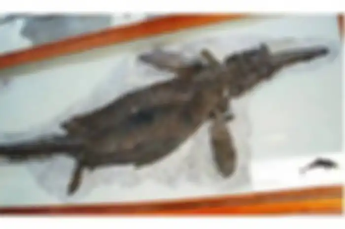 lchthyosaurus