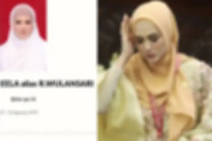 Riwayat pendidikan Mulan Jameela yang ganjil